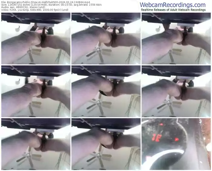 bongacams-halfchub500-02-24-2024-19-08-44