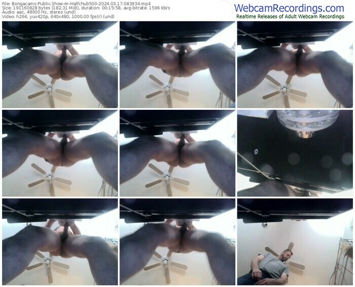 bongacams-halfchub500-03-17-2024-08-39-34