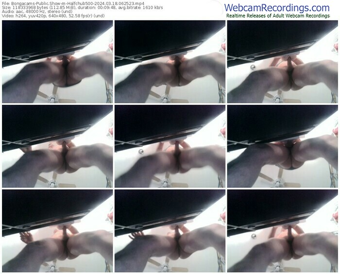 bongacams-halfchub500-03-18-2024-06-25-23