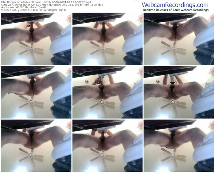 bongacams-halfchub500-03-19-2024-00-09-32
