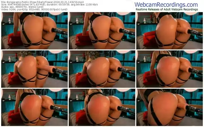bongacams-earlyflower-03-21-2024-14-31-59