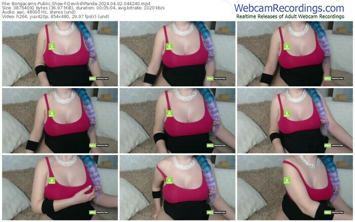 bongacams-devilishpanda-04-02-2024-04-42-40