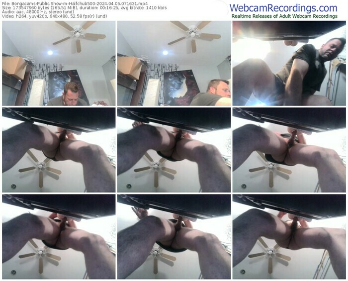 bongacams-halfchub500-04-05-2024-07-16-31