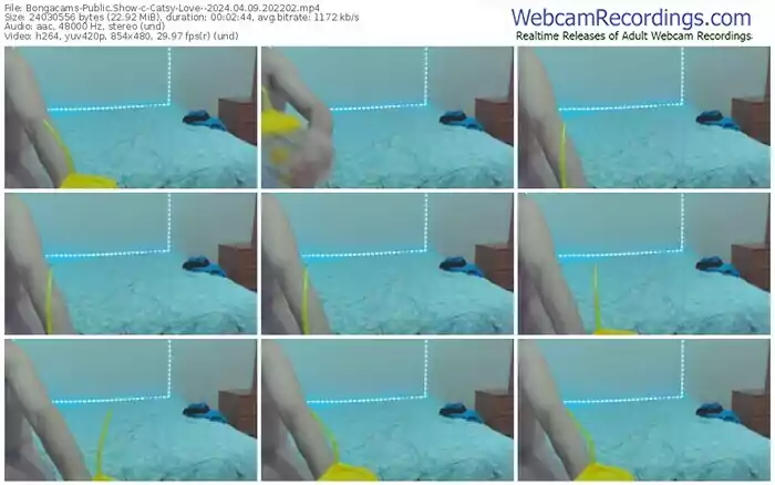 bongacams-catsy-love--04-09-2024-20-22-02
