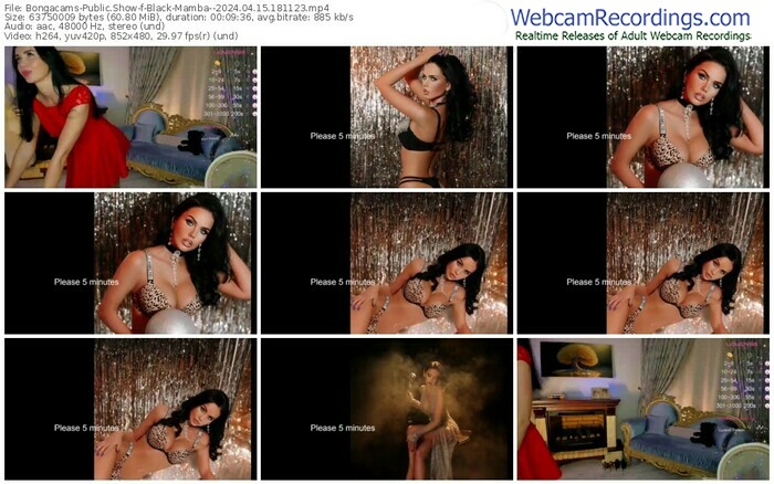 bongacams-black-mamba--04-15-2024-18-11-23