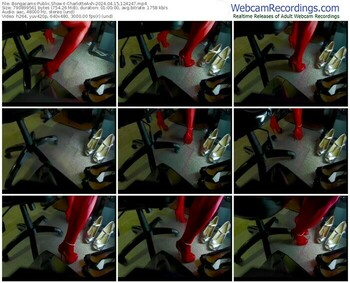 bongacams-charlotteash-04-15-2024-12-42-47