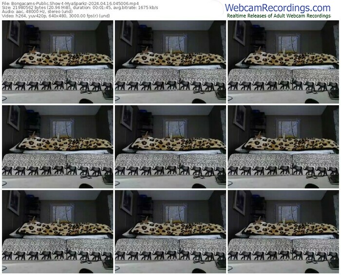 bongacams-myasparkz-04-16-2024-04-50-06