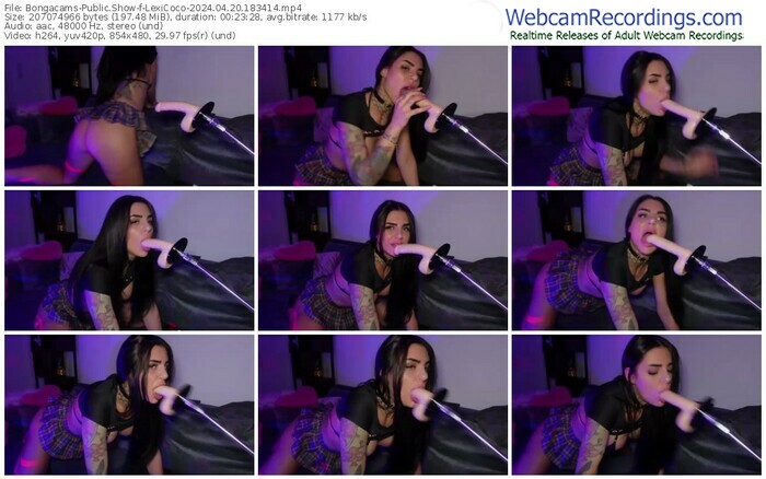 bongacams-lexicoco-04-20-2024-18-34-14