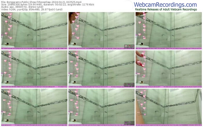 bongacams-rossedaw-04-21-2024-02-25-25
