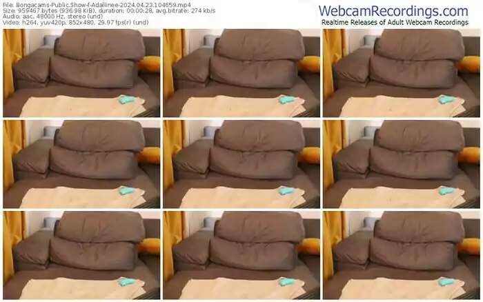 bongacams-adallinee-04-23-2024-10-46-59