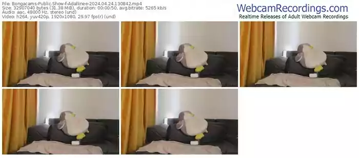 bongacams-adallinee-04-24-2024-13-08-42