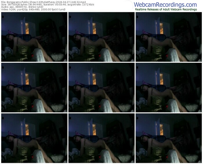 bongacams-kittykatpussy-04-27-2024-14-41-32