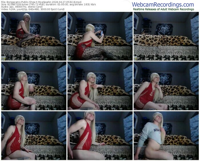 bongacams-myasparkz-04-27-2024-05-31-18