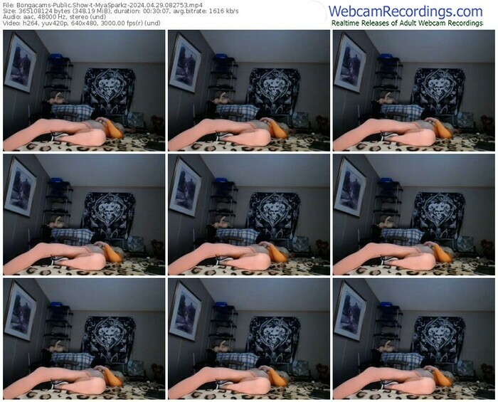 bongacams-myasparkz-04-29-2024-08-27-53