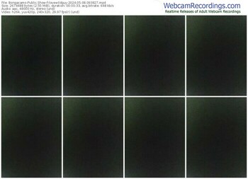 bongacams-lovewildguy-05-08-2024-09-38-27