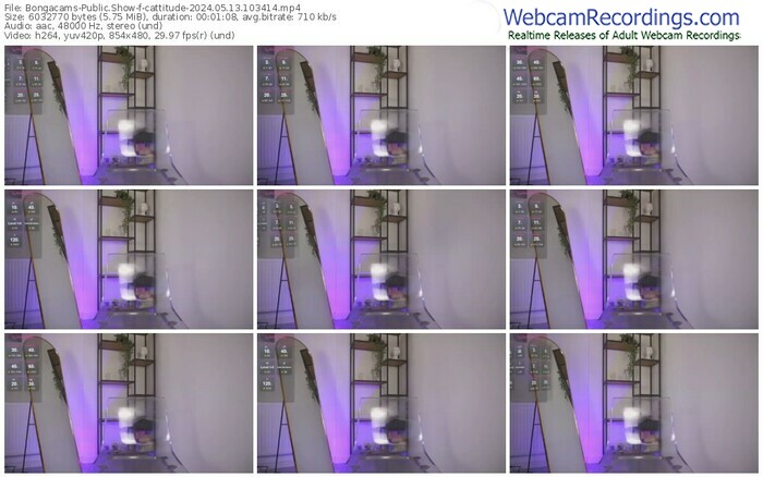 bongacams-cattitude-05-13-2024-10-34-14