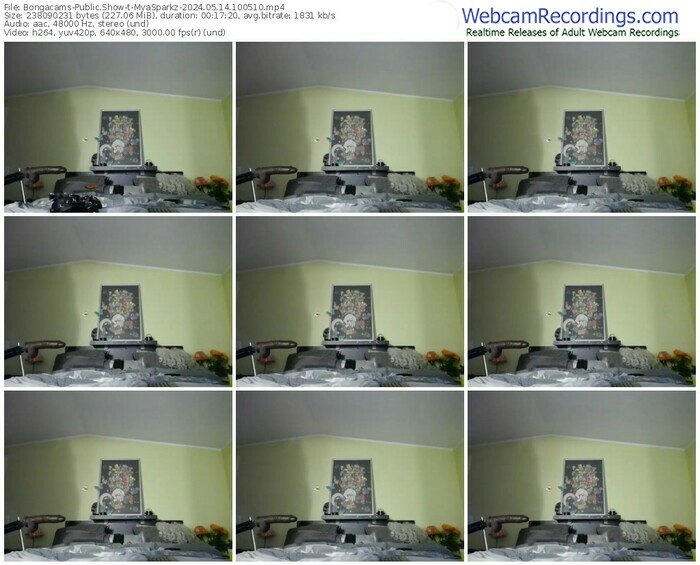 bongacams-myasparkz-05-14-2024-10-05-10