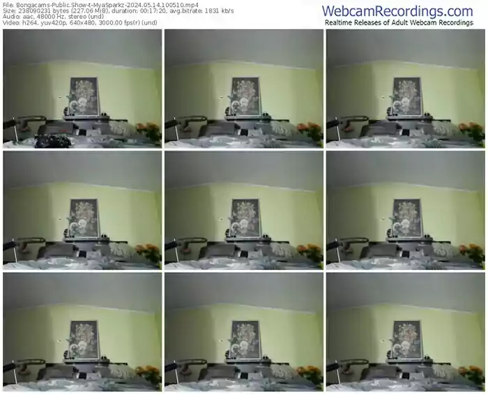 bongacams-myasparkz-05-14-2024-10-05-10