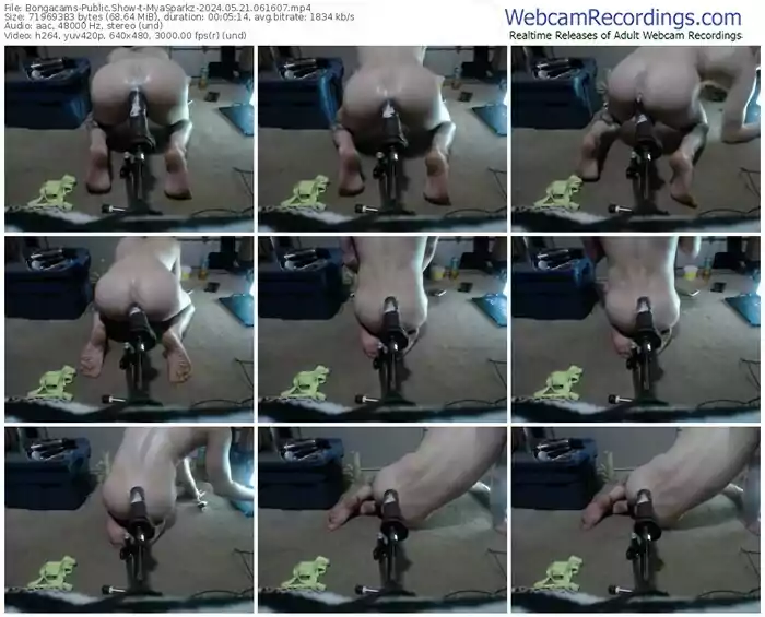 bongacams-myasparkz-05-21-2024-06-16-07