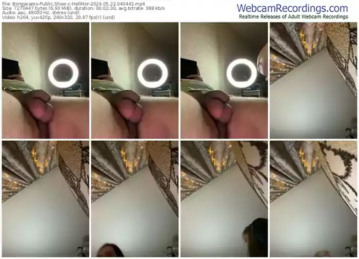 bongacams-hellmor-05-22-2024-04-04-43