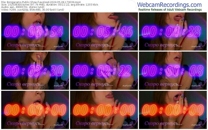 bongacams-avolood-05-28-2024-17-00-39