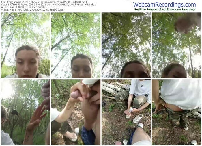 bongacams-lissazmark2-05-30-2024-12-40-30