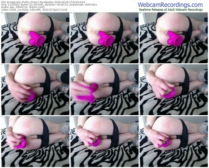 bongacams-myasparkz-06-04-2024-15-22-34