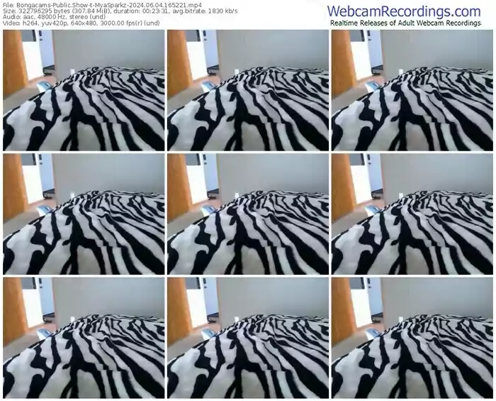 bongacams-myasparkz-06-04-2024-16-52-21