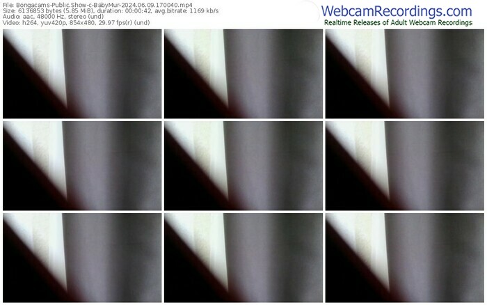 bongacams-babymur-06-09-2024-17-00-40