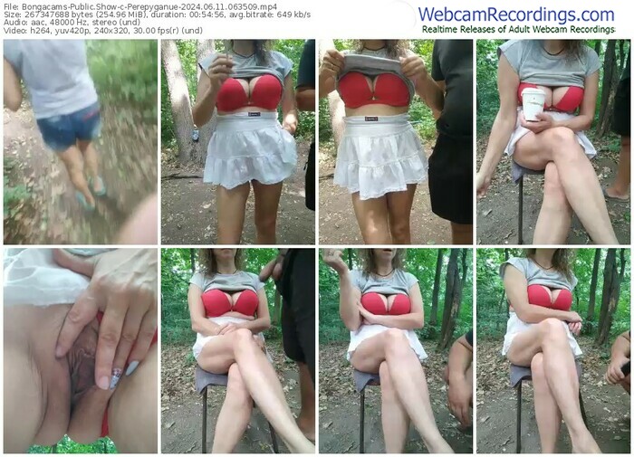 bongacams-perepyganue-06-11-2024-06-35-09