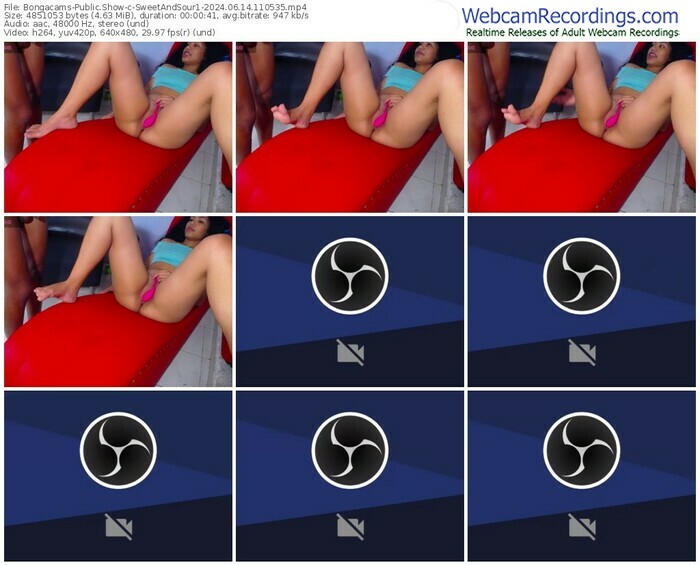 bongacams-sweetandsour1-06-14-2024-11-05-35