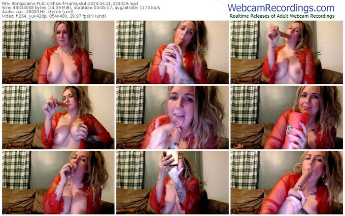 bongacams-harleyslut-06-21-2024-22-30-19