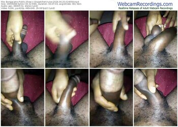 bongacams-dispatchercruise-06-25-2024-02-40-58