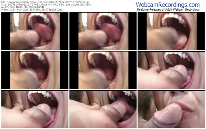 bongacams-aliceanddave1-06-25-2024-16-59-55