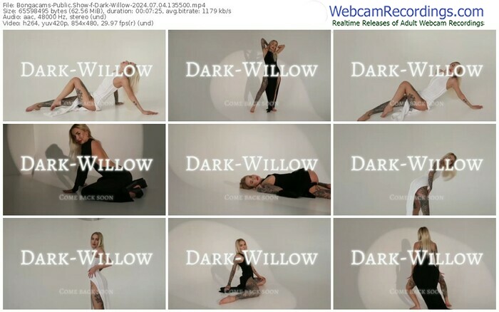 bongacams-dark-willow-07-04-2024-13-55-00