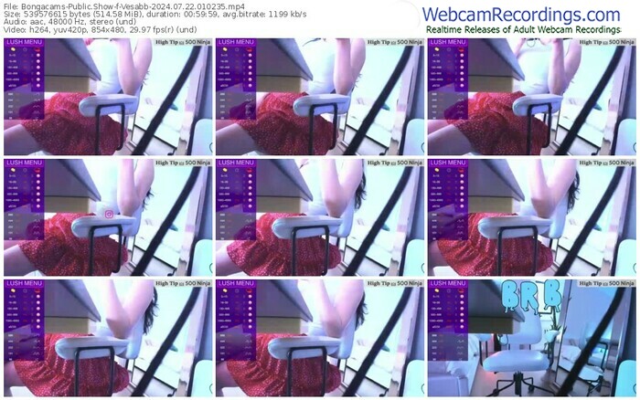 bongacams-vesabb-07-22-2024-01-02-35