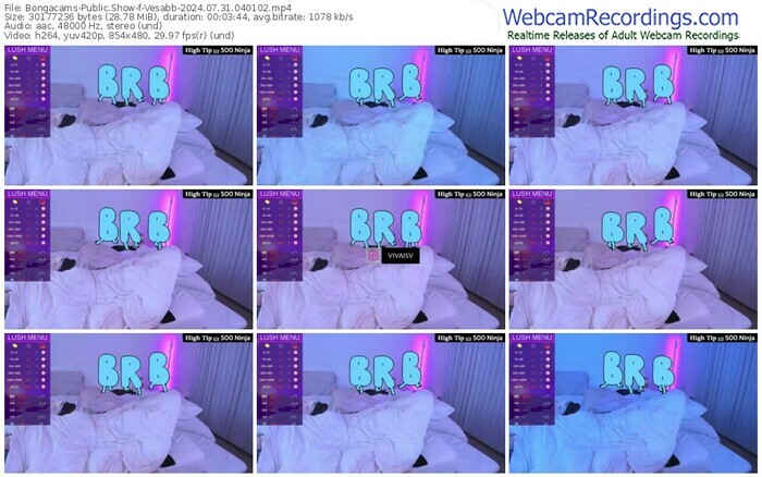 bongacams-vesabb-07-31-2024-04-01-02