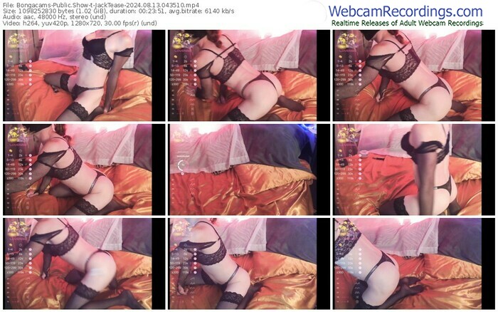 bongacams-jacktease-08-13-2024-04-35-10
