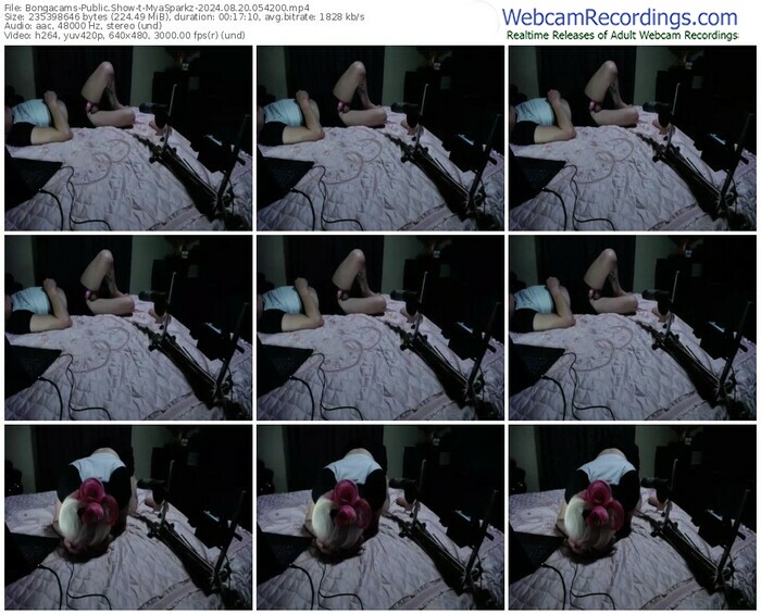 bongacams-myasparkz-08-20-2024-05-42-00