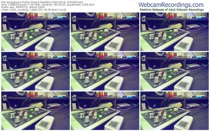 bongacams-seedslut-08-21-2024-20-30-08