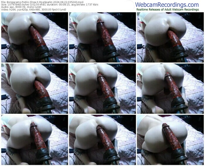 bongacams-myasparkz-08-22-2024-03-52-40