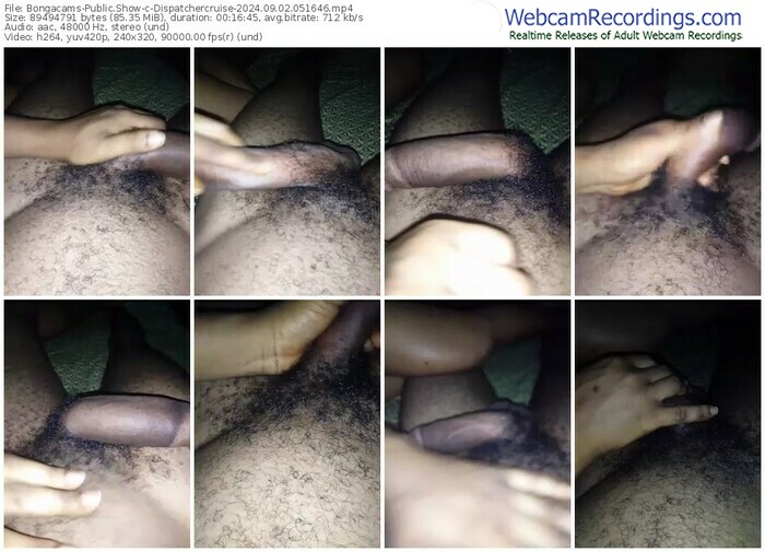 bongacams-dispatchercruise-09-02-2024-05-16-46