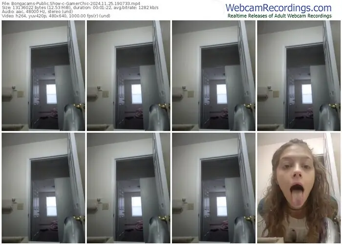 bongacams-gamerchic-11-25-2024-19-07-33
