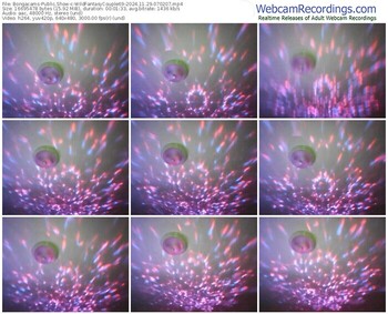 bongacams-wildfantasycouple69-11-29-2024-07-02-07