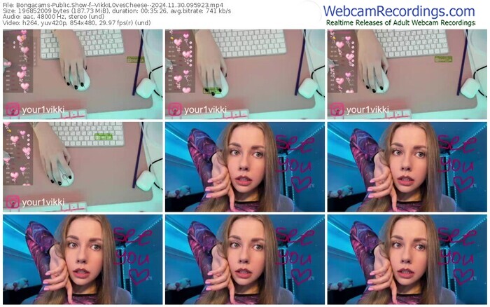 bongacams--vikkil0vescheese--11-30-2024-09-59-23