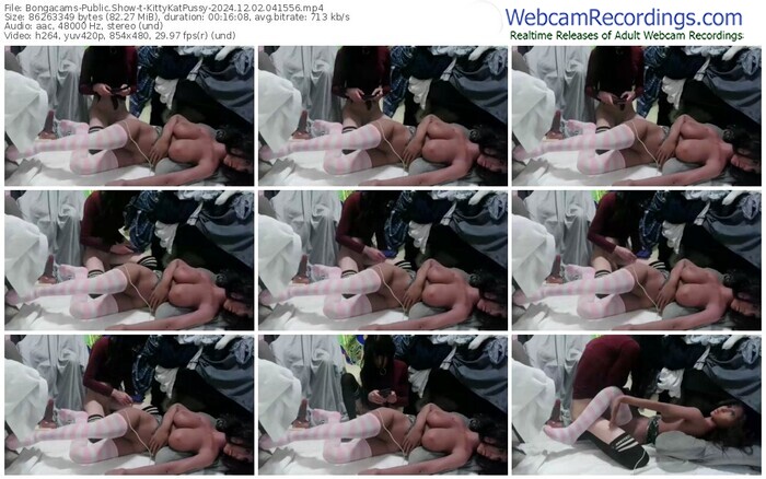 bongacams-kittykatpussy-12-02-2024-04-15-56