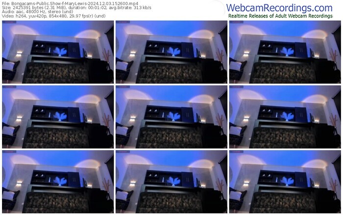 bongacams-marylewis-12-03-2024-15-26-00