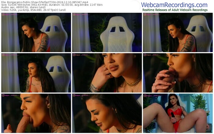 bongacams-perfectt33n-12-10-2024-08-53-47