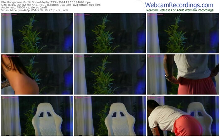 bongacams-perfectt33n-12-16-2024-13-46-20