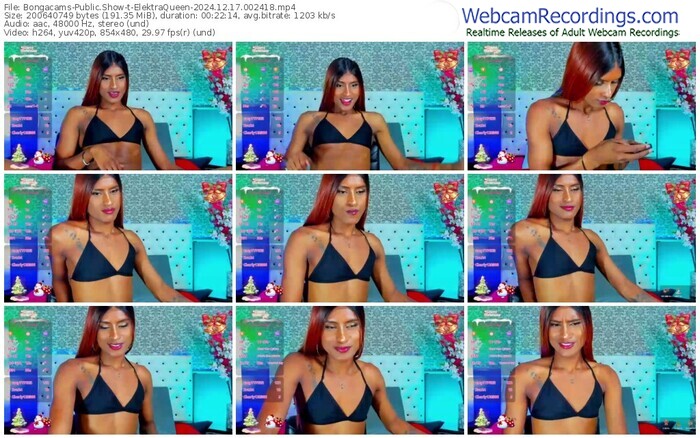 bongacams-elektraqueen-12-17-2024-00-24-18
